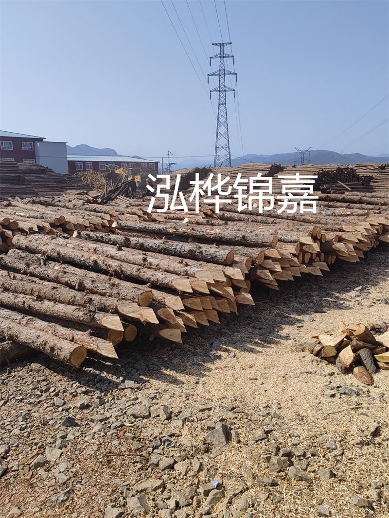 東莞市松木樁供應(yīng)商推薦——哪里有松木樁？